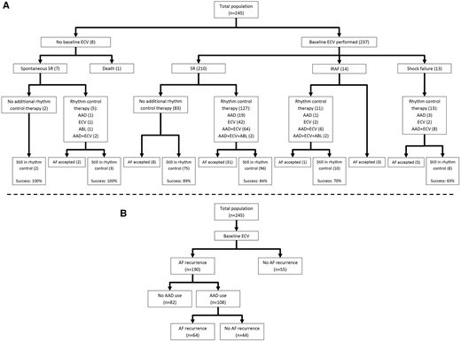 Course of rhythm control strategy followed in study population. (A) Primary endpoint: Sinus rhythm on 1-year Holter according to result of baseline electrical cardioversion and use of rhythm control therapies (Success: sinus rhythm >6/7 of the time on a 7-day Holter at 1 year). (B) Secondary endpoint: maintenance of sinus rhythm and use of antiarrhythmic drugs. AAD, antiarrhythmic drug; ABL, ablation; AF, atrial fibrillation; ECV, electrical cardioversion; IRAF, immediate reinitiation of atrial fibrillation; SR, sinus rhythm.