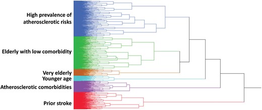 Tree diagram describing the clustering process. Each branch represents each patient.
