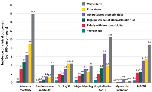 Crude incidence rates of various clinical outcomes, presented by 100 person-years. HF, heart failure; MACNE, major adverse cardiovascular or neurological events; SE, systemic embolism.