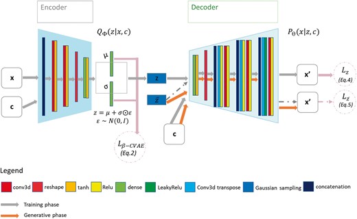 β-CVAE model architecture. Training: input data are BSP mapping signals concatenated with myocardial mask and encoded in z. Activation maps are decoded from z with conditioning by sub-sampled versions of the BSP mapping signals and of the cardiac mask. Prediction: decoder is used to generate myocardial electrical activation maps from a new cardiac segmentation and its corresponding BSP mapping signals. BSP, body surface potentials; CVAE, Conditional Variational AutoEncoders.