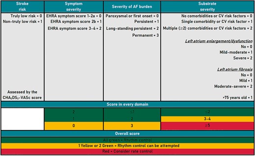 The 4S-AF scheme.