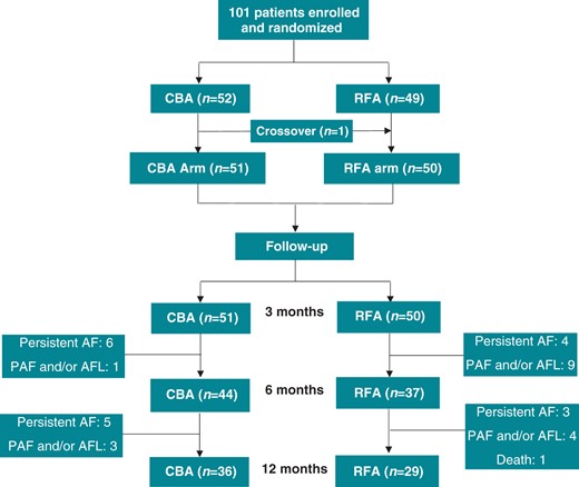 Randomization and patient flow for NO-PERSAF study. The number of patients with AF recurrence and recurrence-free during follow-up was based on per-protocol analysis. The crossover patient suffered AF recurrence. AF, atrial fibrillation; AFL, atrial flutter; CBA, cryoballoon ablation; PAF, paroxysmal atrial fibrillation; RFA, radiofrequency ablation.