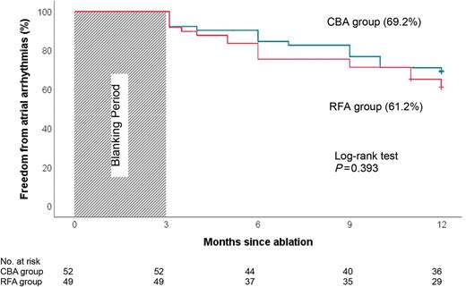 Kaplan–Meier survival curve of freedom from atrial arrhythmias. There is no difference of freedom from atrial tachyarrhythmias between CBA (blue) and RFA (red) groups during a 12-month follow-up. CBA, cryoballoon ablation; RFA, radiofrequency ablation.