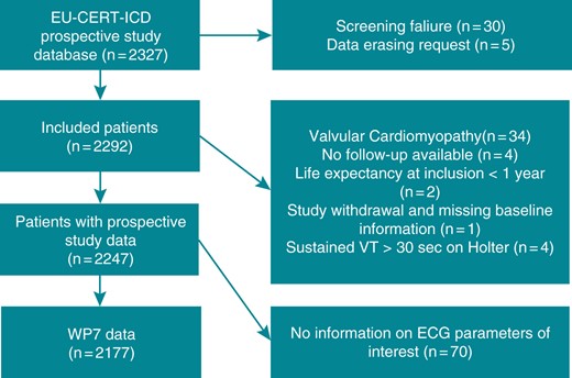 Flow chart of study data. ECG, electrocardiogram; VT, ventricular tachycardia; WP7, Work Package 7.