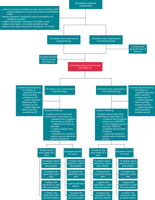Trial profile. Two hundred and forty-five of the 250 randomized patients were included in the 1-year follow-up analysis. For the 5-year follow-up, 216 gave consent. AAD, antiarrhythmic drugs; AF, atrial fibrillation; CABG, coronary artery bypass grafting; CAD, coronary artery disease; CAG, coronary angiogram; COVID19, coronavirus disease 2019; ECG, electrocardiography; ECV, electrical cardioversion; SR, sinus rhythm.