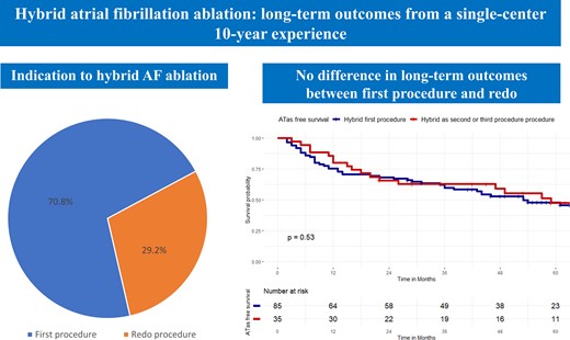 Graphical abstract