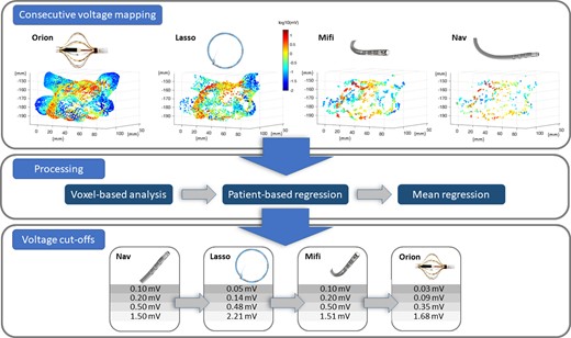 Pipeline of the analysis leading to the individual cutoff for every catheter based on the reference catheter value: Color-coded consecutive voltage mapping using the Orion, Lasso, Mifi, and Nav catheter in 3D (x–y–z in mm) results after processing in the BVA cutoff values for an individual catheter type.