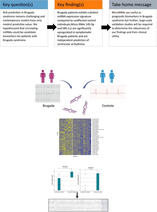 Graphical Abstract
