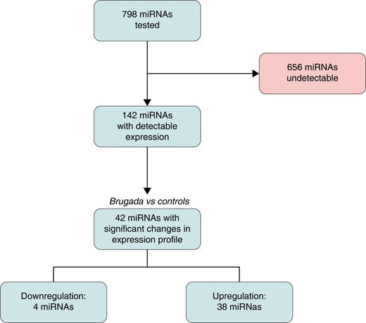 Study flow chart. miRNA, microRNA.