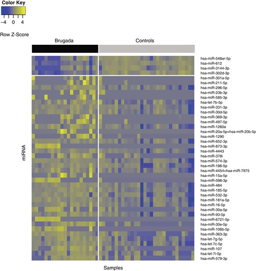 Heat map presenting expression levels of the 42 miRNAs differentially expressed between Brugada cases and controls. The samples (n = 51) and miRNA (n = 42) are illustrated in columns and rows, respectively. Yellow indicates a high level of expression; blue indicates a low level of expression. The upper bar delineates cases (black) and controls (grey). The horizontal white line separates miRNA that are down-regulated (n = 4) and up-regulated (n = 38) in Brugada patients. miRNA, microRNA.