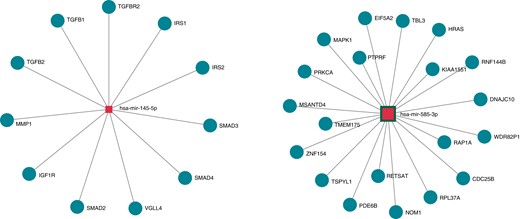 Distinct miRNA signature in symptomatic Brugada patients. Shown are the normalized relative expression levels of miR-145-5p and miR-585-3p that are up-regulated in symptomatic Brugada patients. miRNA, microRNA.