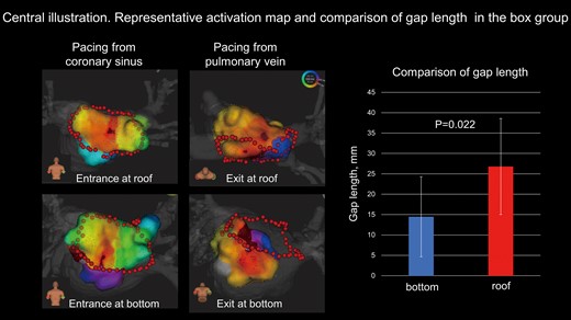 Bidirectional activation maps for conduction gap at roof and bottom are shown. The length between the entrance and exit (gap length) is longer at roof line than bottom line (26.8 ± 11.8 vs. 14.6 ± 9.8 mm, P = 0.022).