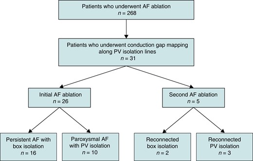 Flowchart of the patients. AF, atrial fibrillation; box isolation, simultaneous electrical isolation of all four PVs; PV, pulmonary vein.