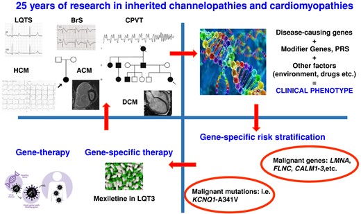 The upper panel on the left shows feature of all major channelopathies (LQTS, long QT syndrome; BrS, Brugada syndrome; CPVT, catecholaminergic polymorphic ventricular tachycardia) and cardiomyopathies (HCM, hypertrophic cardiomyopathy; ACM, arrhythmogenic cardiomyopathy; DCM, dilated cardiomyopathy) and two family trees. The other panels show how discovery of disease-causing genes and common variants influencing the phenotype (PRS, polygenic risk score) have an impact on clinical management. Lower panel of the left also shows the near future of gene therapy clinical trial.