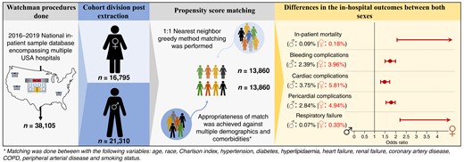 Figure summarizing the most important methodology and result points of our research.