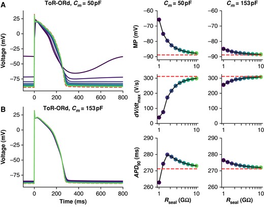 Effect of Rseal on ToR-ORd adult cardiomyocyte APs at 50 and 153 pF. Simulations from the ToR-ORd + leak model paced at 1 Hz with Cm set to 50 (A) and 153 pF (B), and Rseal set to values from 1 to 10 GΩ. The dashed (red) trace shows a baseline (leak-free) simulation. Three AP morphology metrics for the 50 and 153 pF models are plotted against Rseal (displayed on log-scaled x-axis): APD90, action potential duration at 90% repolarization; dV/dtmax, maximum upstroke velocity; MP, minimum potential.