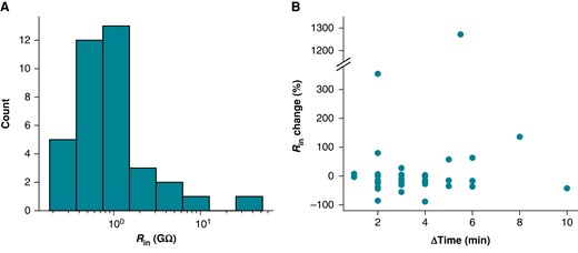 Rin changes during iPSC-CM experiments. (A) Distribution of initial Rin measurements from iPSC-CMs acquired with a +5 mV step from 0 mV. (B) The percentage change in Rin plotted against the time elapsed between Rin measurements. The interval between measurements ranged from 1 to 10 min. Time was recorded to the nearest minute, leading to the appearance of banding in the ΔTime measure.