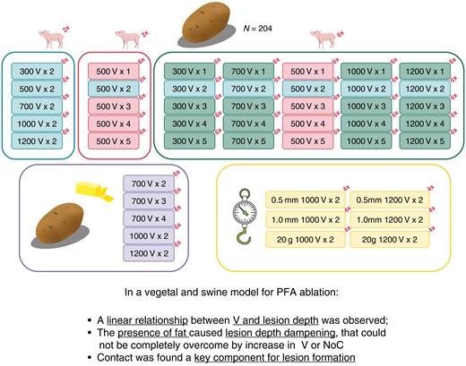 Graphical Abstract