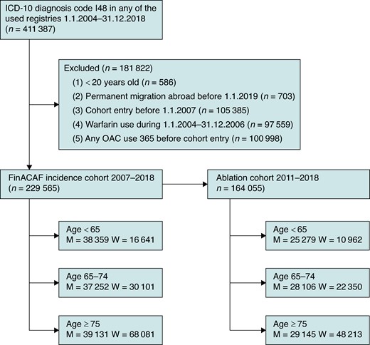 Flow chart of patient inclusion, exclusion, and distribution into different age groups.