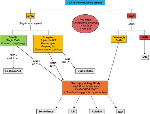 Management of VAs in athletes. nsVA, non-sustained ventricular arrhythmia—any VA lasting <30 s; sVA, sustained ventricular arrhythmia—ventricular tachycardia lasting ≥30 s and/or requiring intervention and/or ventricular fibrillation. Common premature ventricular complex (PVC) morphology: outflow tract/infundibular (LBBB morphology and inferior axis) and/or fascicular (typical RBBB morphology, superior/inferior axis, and QRS < 130 ms). Uncommon PVC morphology: all other types of PVCs. Short-coupled PVCs: PVC with interval from onset of preceding QRS to onset of PVC < 350 ms. SHD, structural heart disease; ICD, implantable cardioverter defibrillator; NSVT, non-sustained ventricular tachycardia; FHx SCD, family history of premature sudden cardiac death (male < 40 years, female < 50 years); FHx CM, family history of cardiomyopathy; EAM, electroanatomic mapping; RV, right ventricle; RVOT, right ventricular outflow tract; ILR, implantable loop recorder.