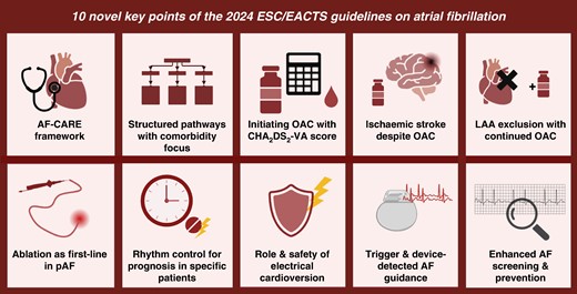 Overview of 10 novel key points in the 2024 ESC/EACTS Guidelines on the management of atrial fibrillation. AF, atrial fibrillation; LAA, left atrial appendage; OAC, oral anticoagulant; pAF, paroxysmal atrial fibrillation.
