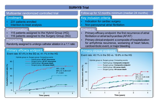 Graphical Abstract