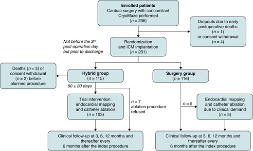CONSORT diagram of the SURHYB trial. RFCA in the HG and CryoMaze in the SG were considered INDEX procedures. ICM, implantable cardiac monitor.