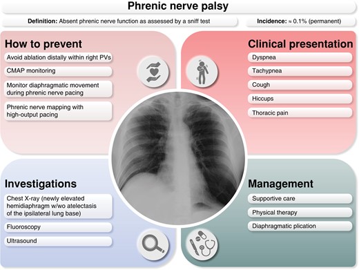 Prevention, clinical presentation, investigation, and management of phrenic nerve palsy. CMAP, compound motor action potential; PV, pulmonary vein; w/wo, with or without.