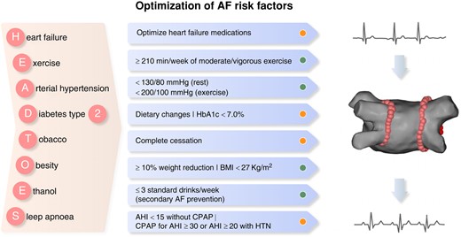 Risk factors and respective targets for AF prevention in patients considered for or undergoing AF ablation—the HEAD2TOES schema (green light: established evidence; orange light: evolving evidence). AF, atrial fibrillation; AHI, apnoea–hypopnoea index; BMI, body mass index; CPAP, continuous positive airway pressure; HbA1c, glycated haemoglobin; HTN, hypertension.
