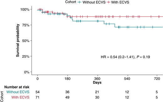 Survival analysis of the overall cohort with successful acute ablation depending on the use of extracardiac vagal stimulation. P-value given by the log-rank test for the full follow-up length. ECVS, extracardiac vagal stimulation; HR, hazard ratio.
