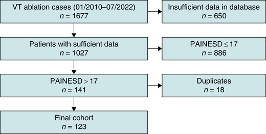 Study flowchart. VT, ventricular tachycardia.