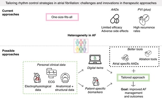 Graphical Abstract