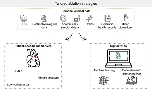 Overview of tailored-ablation strategies. CFAEs, complex fractionated atrial electrograms; ECG, electrocardiogram.