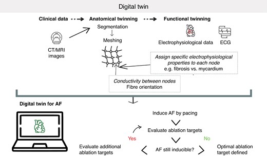 Schematic representation of the use of a digital twin for determining atrial fibrillation ablation strategies.