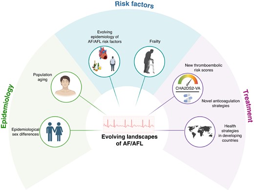 Evolving epidemiological landscape of atrial fibrillation and atrial flutter. AF, atrial fibrillation; AFL, atrial flutter.