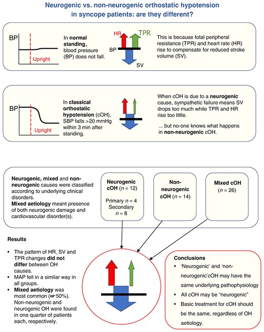 Graphical Abstract