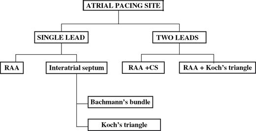 Different single and dual lead configurations applied among various studies of atrial pacing in the prevention of AF. RAA = right atrial appendage; CS = coronary sinus.