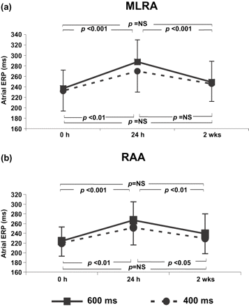 Comparison of the atrial effective refractory period (ERP) immediately (0 h), 24 h and 2 weeks' post cardioversion at (a) mid-lateral right atrial wall (MLRA), (b) right atrial appendage (RAA) at 600 ms and 400 ms drive cycle lengths for the 28 patients still in SR at 2 weeks.