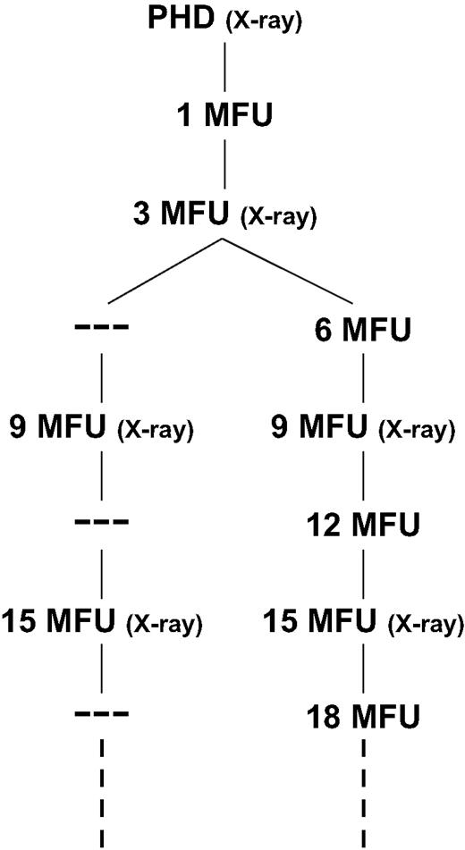 Actual 3 month and virtual 6 month follow-up schedules. PHD = prehospital discharge test.