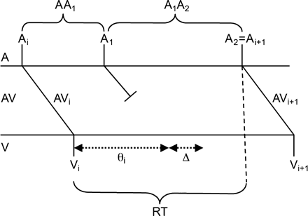 Schematic representation of the model. An atrial impulse arriving at the AV node at Ti is conducted to the ventricles with an AV nodal conduction time of AVi leading to a ventricular beat at time Vi. The refractory time following this beat is initially θi. An atrial impulse, A1, arriving at the AV node at a time interval AA1 following the first beat is blocked leading to a prolongation of the refractory period to θi + Δ, where Δ = ΩΔstd + Δmean and Ω is a normally distributed random number. The next atrial event A2 comes in after the expiration of the new refractory period, and it is thus conducted through the AV node to the ventricles with a conduction time AVi + 1, which is a function of the recovery time RT = AA1 + A1A2 − AVi.