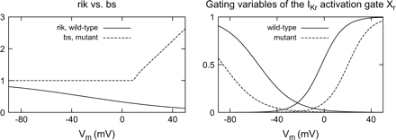 Left: Inward rectification factor rik of the heterogeneous adaptation of the Priebe–Beuckelmann model compared with background substitution factor bs in short QT modification. The factor rik decreased the IKr current over the whole range of physiological potentials. The new formulation of bs elevated the activity of the IKr channel for positive transmembrane voltages. Right: Gating-like portion of the rate constants of Xr for physiological and mutant modelling. In the mutant case, the half-activation voltage for activation is shifted to the positive, for inactivation it is shifted to negative values.
