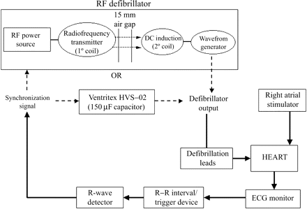 Schematic diagram of equipment layout for experiment 2. RF, radiofrequency; DC, direct current.