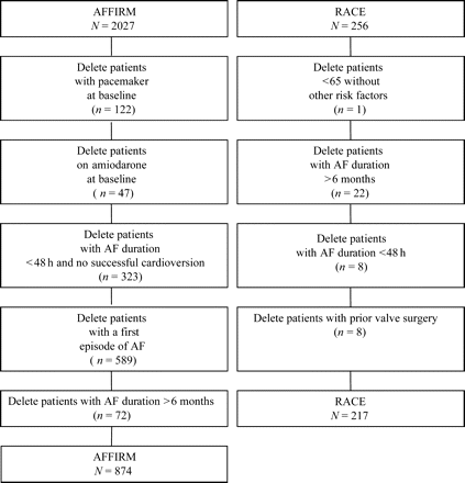 Outline of patients removed from the rate-control arms of the two trials to form the composite cohort of the present study.