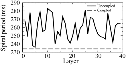 Spiral rotation period in 3D tissue slabs with 35% fibrosis as a function of tissue layer for a slab in which the layers are uncoupled (solid line) and a slab in which the layers are coupled (dashed line).