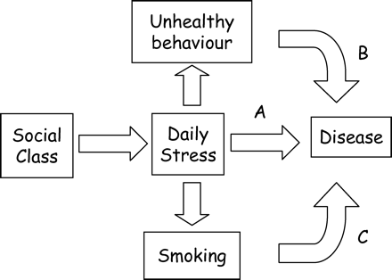 It has been proposed that greater daily stress in individuals of manual social class may explain the higher rates of disease and mortality experienced by those individuals. Higher daily stress may directly affect disease and mortality through a neuroendocrine mechanism (pathway A) or indirectly through its influence on known risk factors (pathway B), particularly smoking (pathway C).
