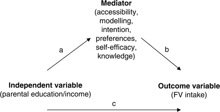 Mediational model