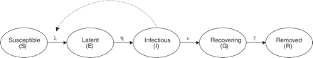 Schematic illustration of the dynamic model. λ is the rate of becoming infected (force of infection), η the rate of becoming infectious, ν the rate of losing infectiousness, γ rate of recovery or death. Source: Lugnér et al.17