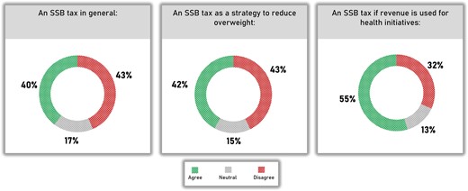Public support for SSB tax in the Netherlands61