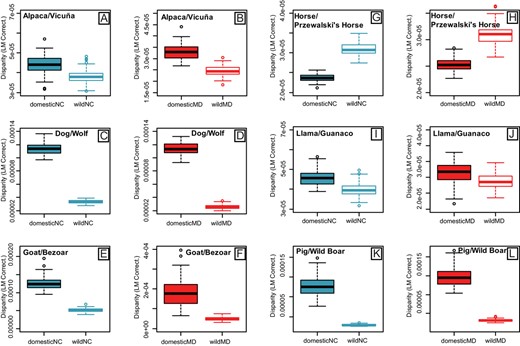 Boxplots of morphological disparity for cranial landmarks assigned to the Neural Crest (NC) (blue) and Mesoderm (MD) (red) modules, displaying values for six domestic/wild mammal pairs (A-B, C-D, E-F, G-H, I-J, K-L). Disparity was measured as Procrustes Variance and was corrected by the number of landmarks in each module, to enable direct comparison. Disparity was calculated on Procrustes superimposed landmarks (graphed) and residuals (Table S16).