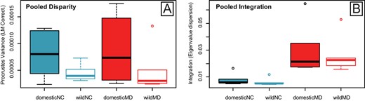 Boxplots of (A) morphological disparity and (B) within-module integration pooled for cranial landmarks assigned to the Neural Crest (NC) (blue) and Mesoderm (MD) (red) modules. Values are pooled for six wild and domestic mammal pairs. Procrustes Variance and Eigenvalue dispersion values were corrected for the number of landmarks in each module, to enable direct comparison. Disparity and Integration values were calculated using Procrustes superimposed landmarks (graphed) and residuals (Table S16 and Table S18).